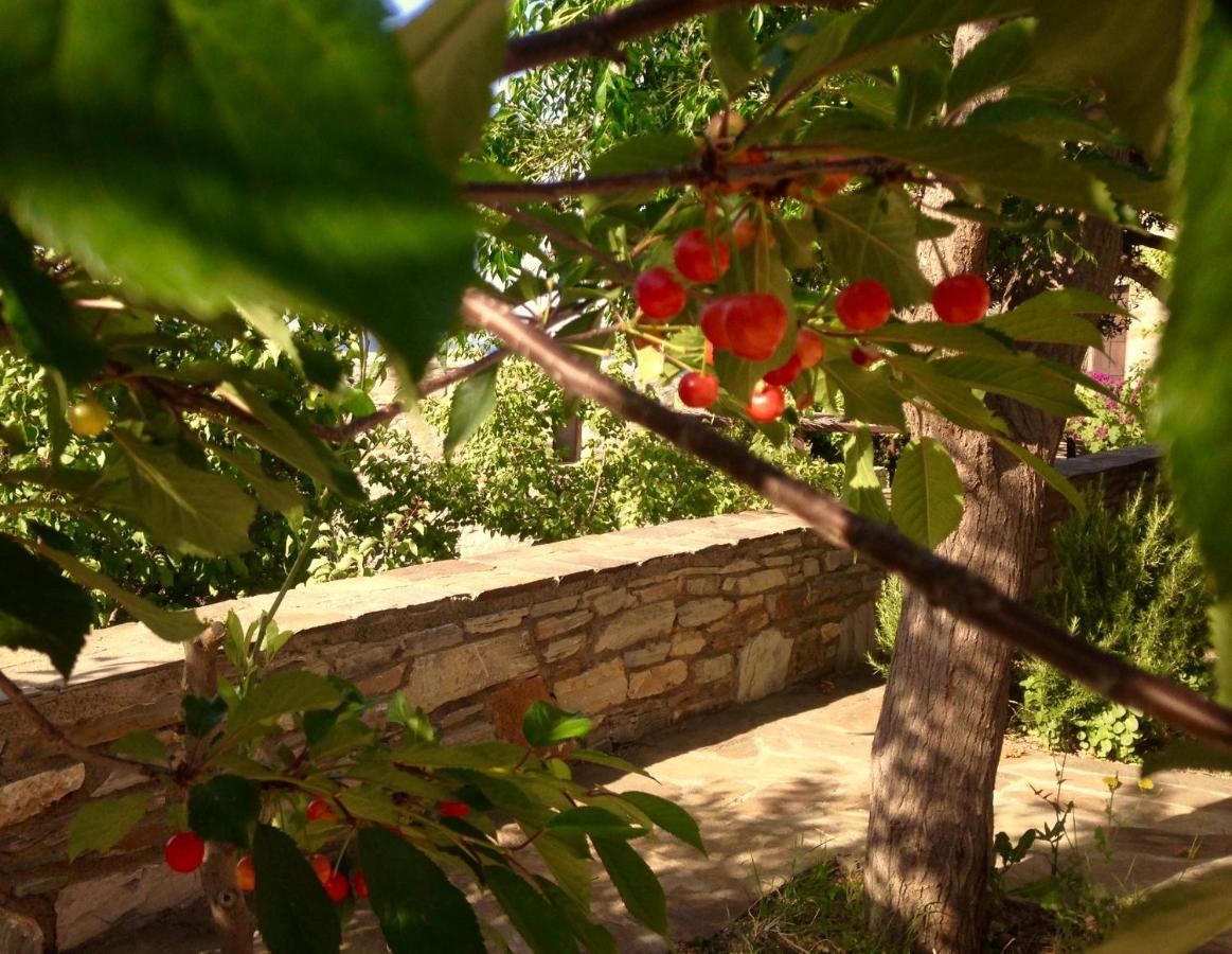 Pyrgos Traditional Village Ágios Kírykos Eksteriør bilde